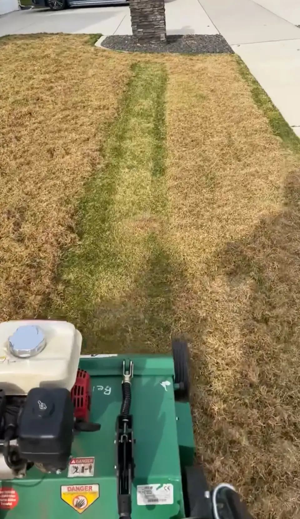 Lawn being dethatched with a power rake, raked strip next to dry grass